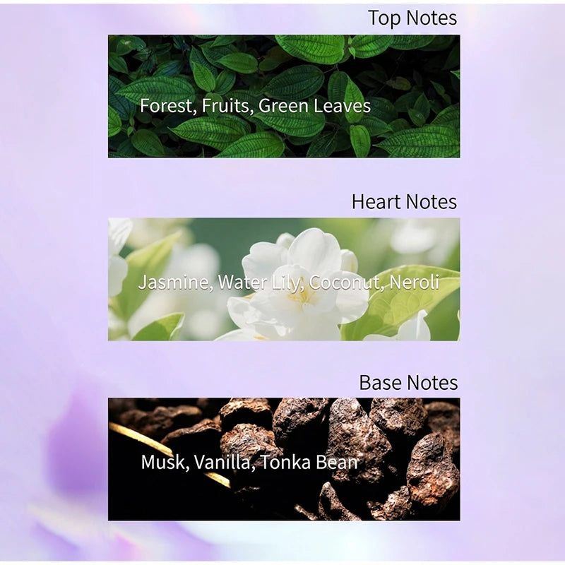 Women Eau De Parfum 100ml Long Lasting Floral Fruity Scent Gradient Bottle Design Fresh Fragrance Daily Dating Perfume For Women