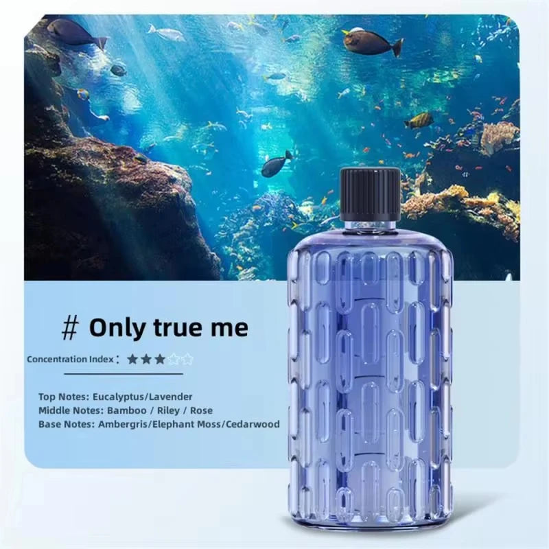 Mini USB Air Humidifier & Aroma Oil Options with LED Light
