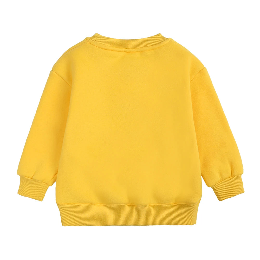 2026 Winter Spring Hoodies Pullovers Kids Boys Girls Clothes Korean Baby Thicken Fleece Sweatshirt Children's Clothing 6M-7T