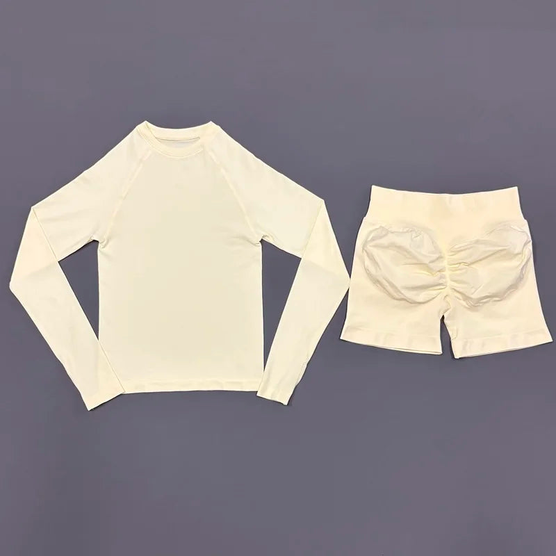 2 Piece Sports Set Women Workout Long Sleeve Top Seamless Shorts Sets Quick Dry Stretch Gym Fitness Running Yoga Athletic Outfit