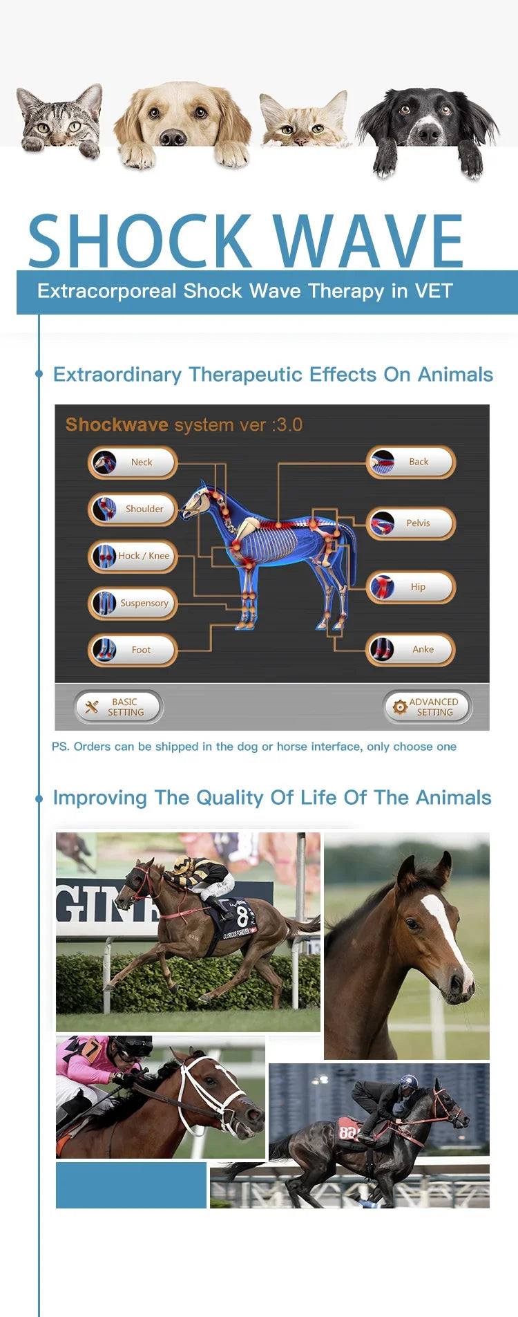 2026 Equine Horses Pain Therapy ESWT Shock Wave Animals Therapy Euiqne Wave Horses Pets Animals Health Care Machine