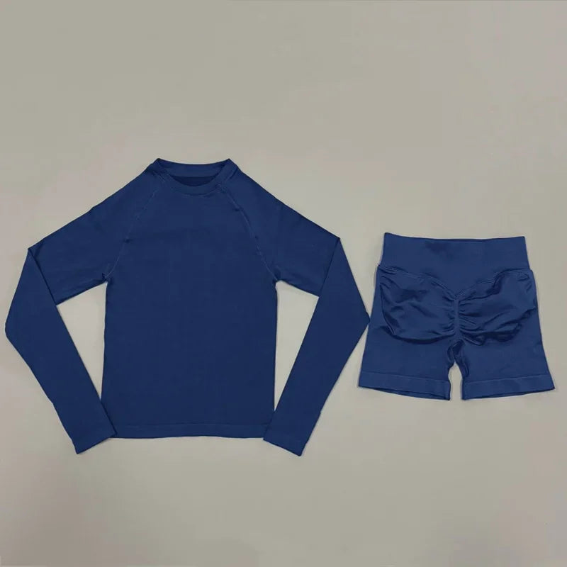 2 Piece Sports Set Women Workout Long Sleeve Top Seamless Shorts Sets Quick Dry Stretch Gym Fitness Running Yoga Athletic Outfit