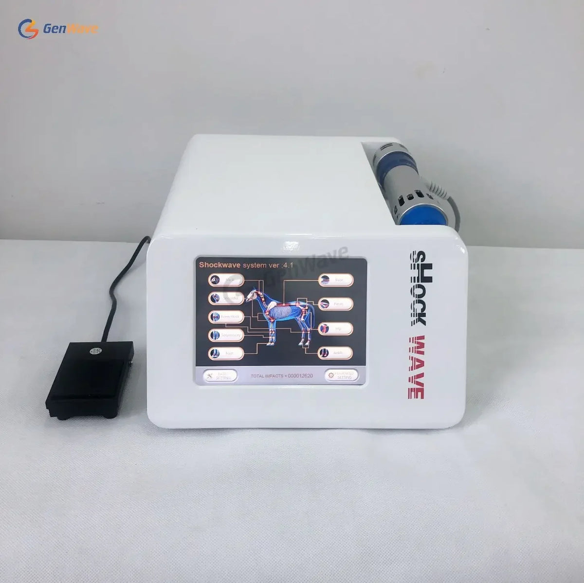 2026 Equine Horses Pain Therapy ESWT Shock Wave Animals Therapy Euiqne Wave Horses Pets Animals Health Care Machine
