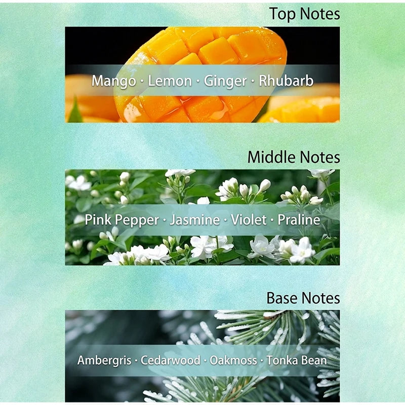 Women Eau De Parfum 100ml Long Lasting Floral Fruity Scent Gradient Bottle Design Fresh Fragrance Daily Dating Perfume For Women