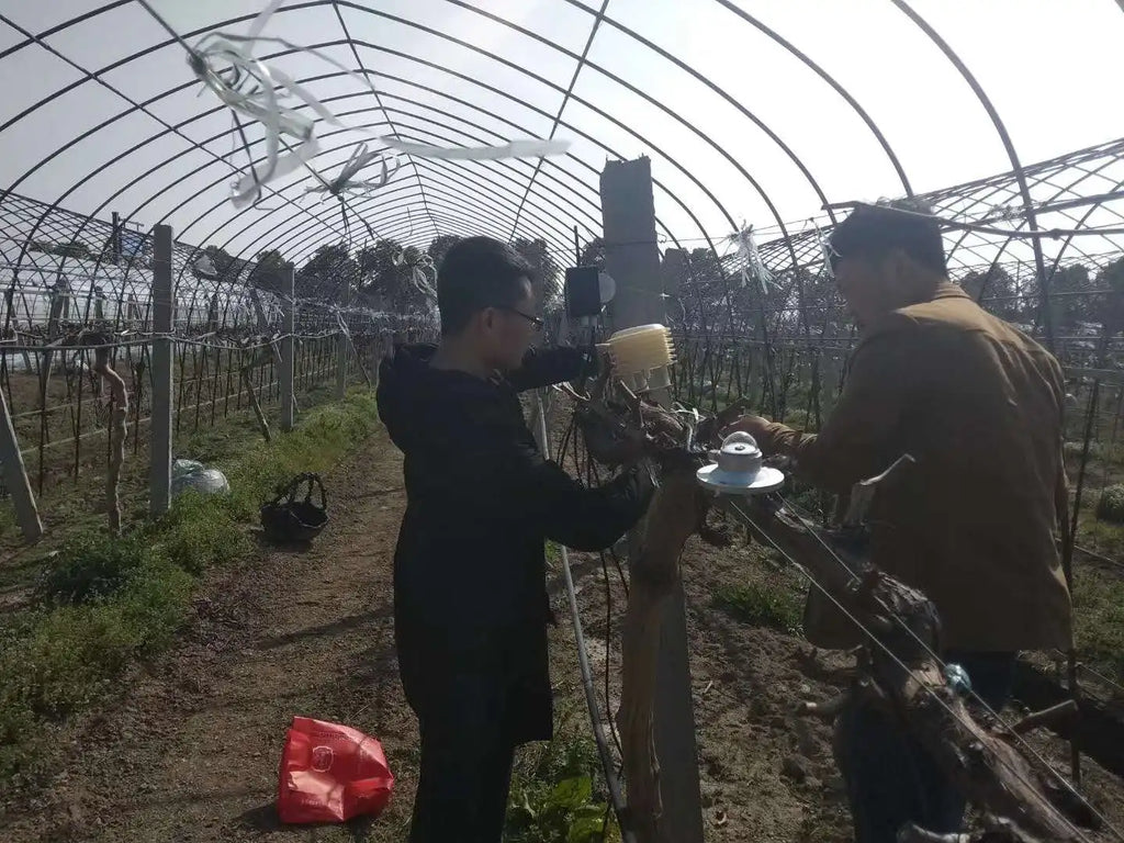 High Quality Photosynthetic Active Radiation Solar Light Meter Wireless PAR Sensor with LoRaWAN Datalogger