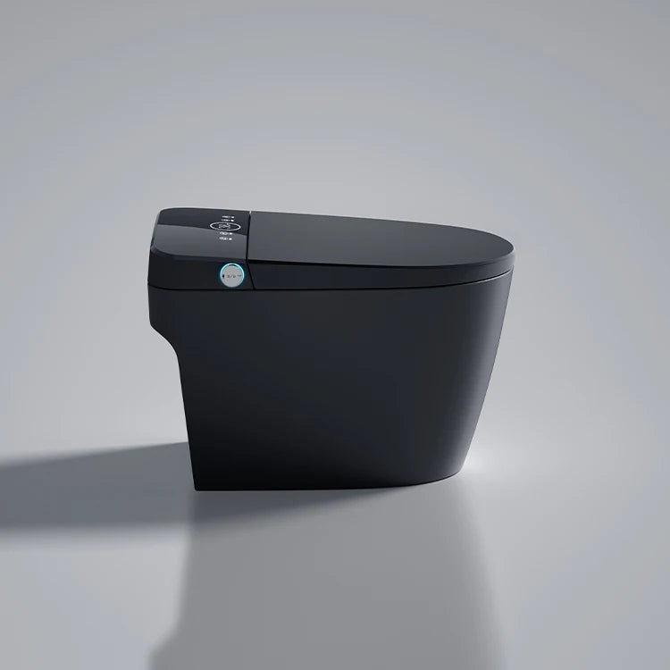 Matte Black Bidet Floor Smart Toilet S Trap Toilets With Bidet Ceramic Wc