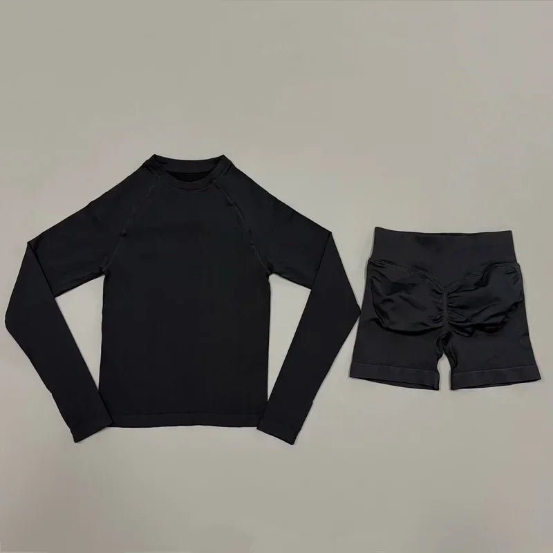 2 Piece Sports Set Women Workout Long Sleeve Top Seamless Shorts Sets Quick Dry Stretch Gym Fitness Running Yoga Athletic Outfit