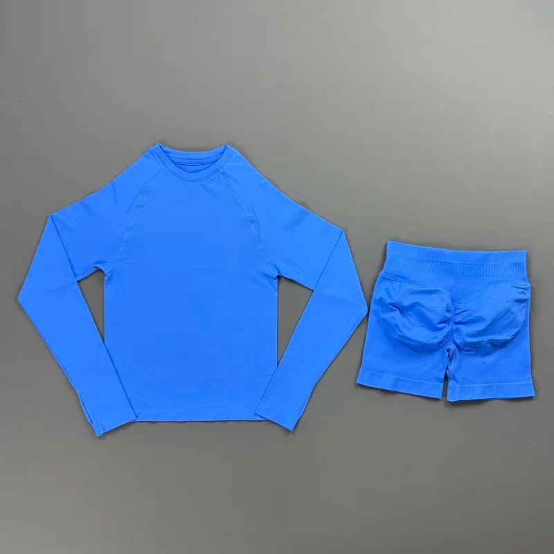 2 Piece Sports Set Women Workout Long Sleeve Top Seamless Shorts Sets Quick Dry Stretch Gym Fitness Running Yoga Athletic Outfit