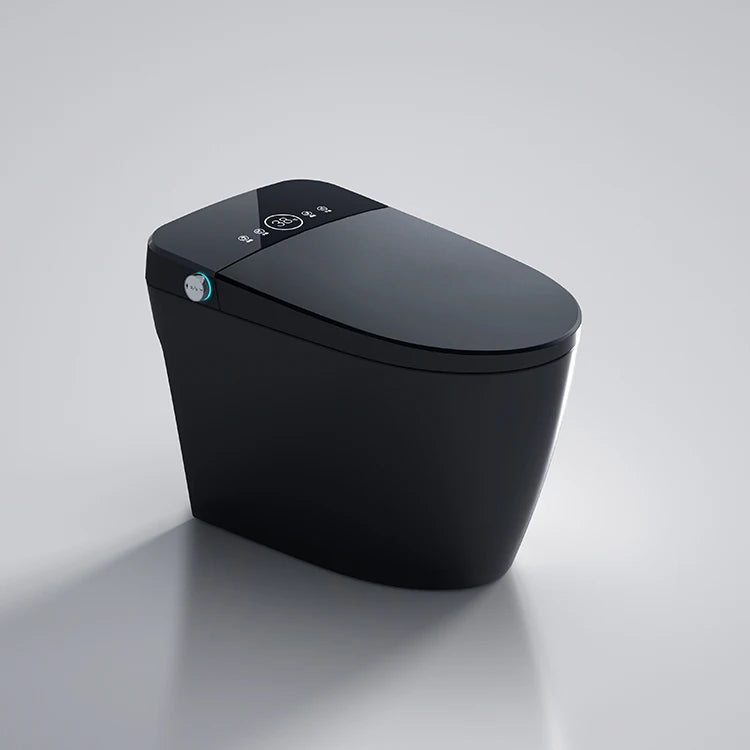 Matte Black Bidet Floor Smart Toilet S Trap Toilets With Bidet Ceramic Wc