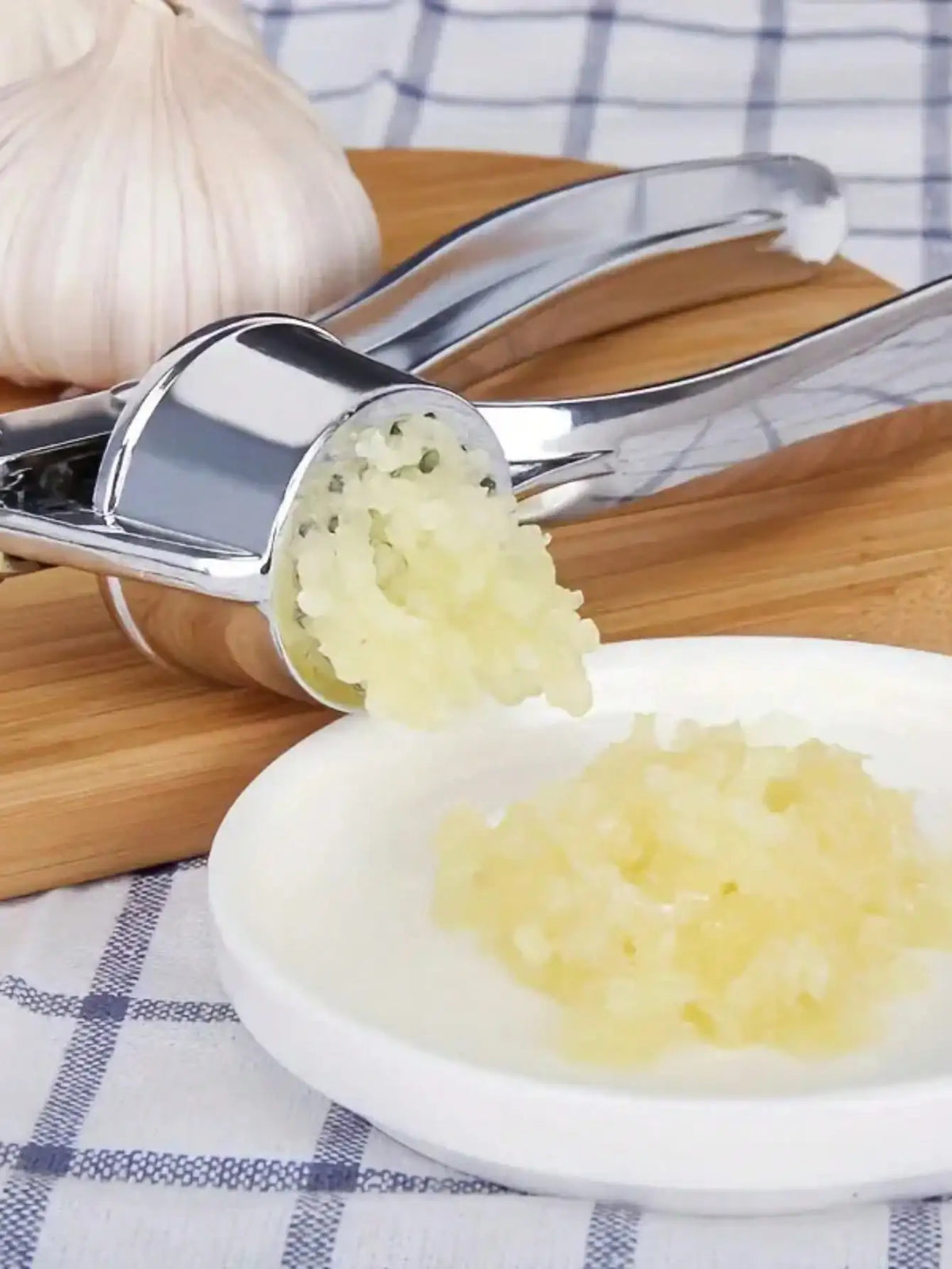 Professional Kitchen Tools Garlic Press High Qulity Crush Garlic Smooth-Handled Easy to Clean Fruit & Vegetable Crusher