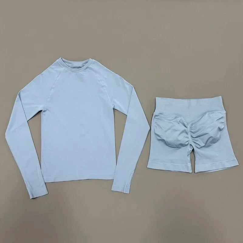 2 Piece Sports Set Women Workout Long Sleeve Top Seamless Shorts Sets Quick Dry Stretch Gym Fitness Running Yoga Athletic Outfit