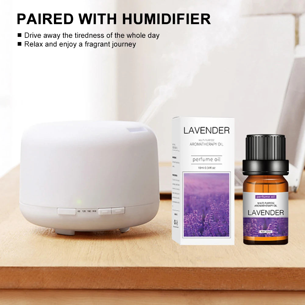 Water Soluble Essential Oil Set Aromatherapy TOP 6 Organic Blends for Diffuser Humidifier Perfume Oil Lavender Oranges