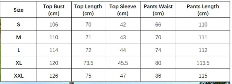 Elegant Chic Casual African Fahsion Women Two Piece Set Solid Color Single Breasted Shirt And Pants Set Outfits