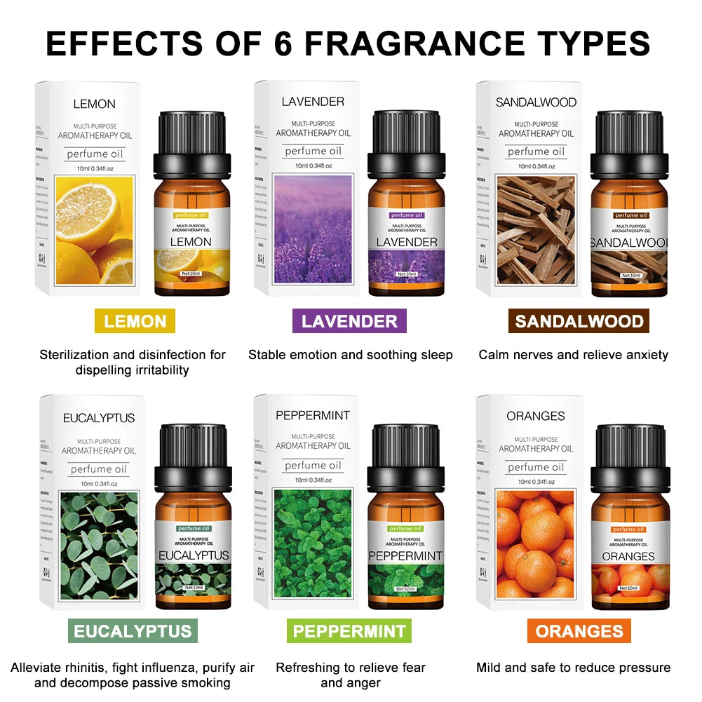Water Soluble Essential Oil Set Aromatherapy TOP 6 Organic Blends for Diffuser Humidifier Perfume Oil Lavender Oranges