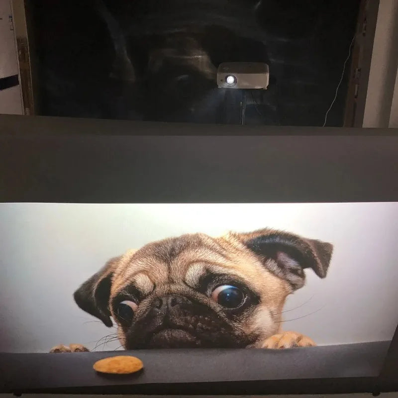 NEW 3D Holographic Projector Screen Transparent/Grey/White/Black Self-Adhesive Rear Holographic Projection Screen Film Customize