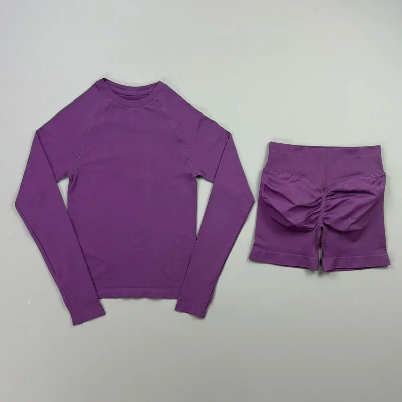 2 Piece Sports Set Women Workout Long Sleeve Top Seamless Shorts Sets Quick Dry Stretch Gym Fitness Running Yoga Athletic Outfit